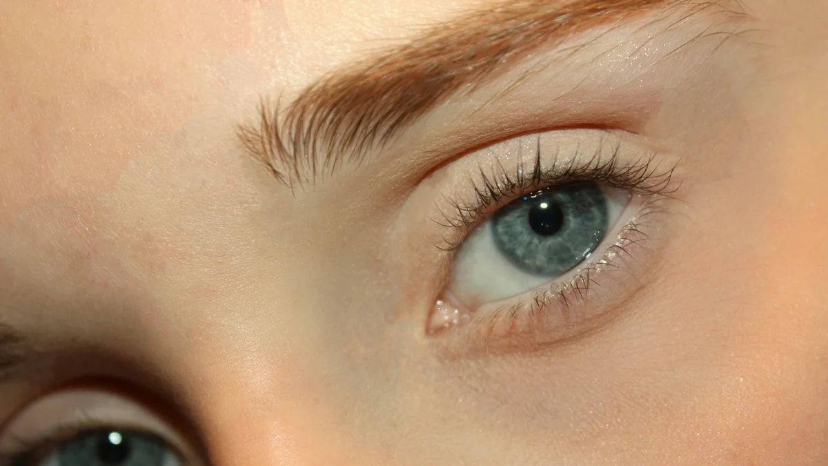 Close-up van de ogen van een vrouw met natuurlijk gelifte wimpers